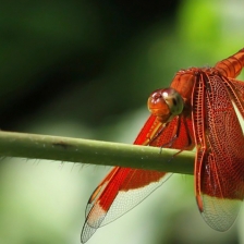 Ready for Take Off by Nurdi Satriaji
